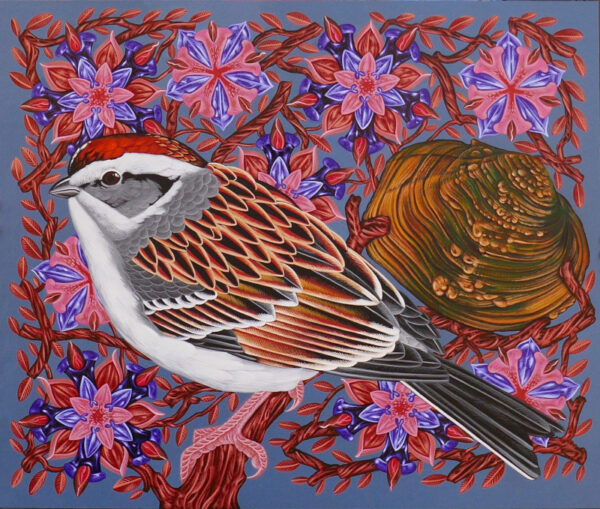 Exult #95: Chipping Sparrow on Late Aster with a Mapleleaf Mussel