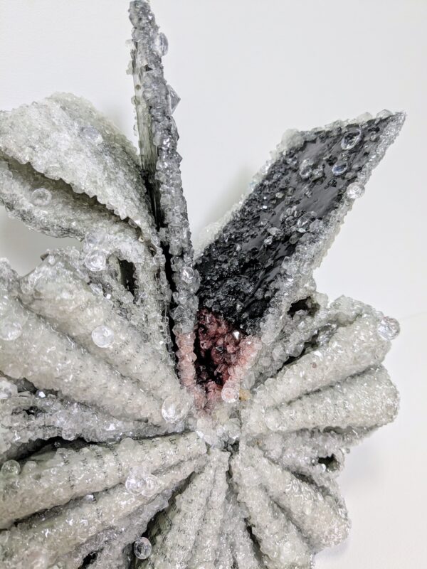 Crystalized Book, Black - Image 3