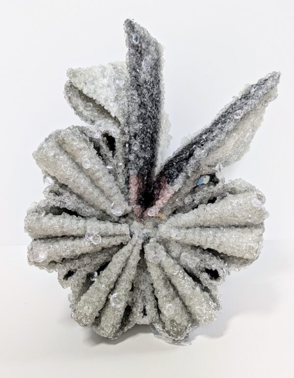 Crystalized Book, Black